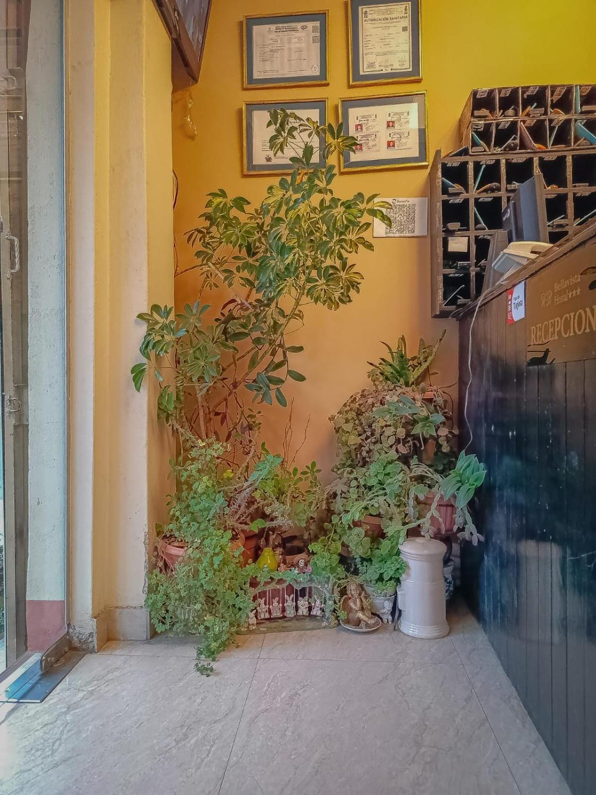 Hostal Terrabella Srl La Paz Dış mekan fotoğraf